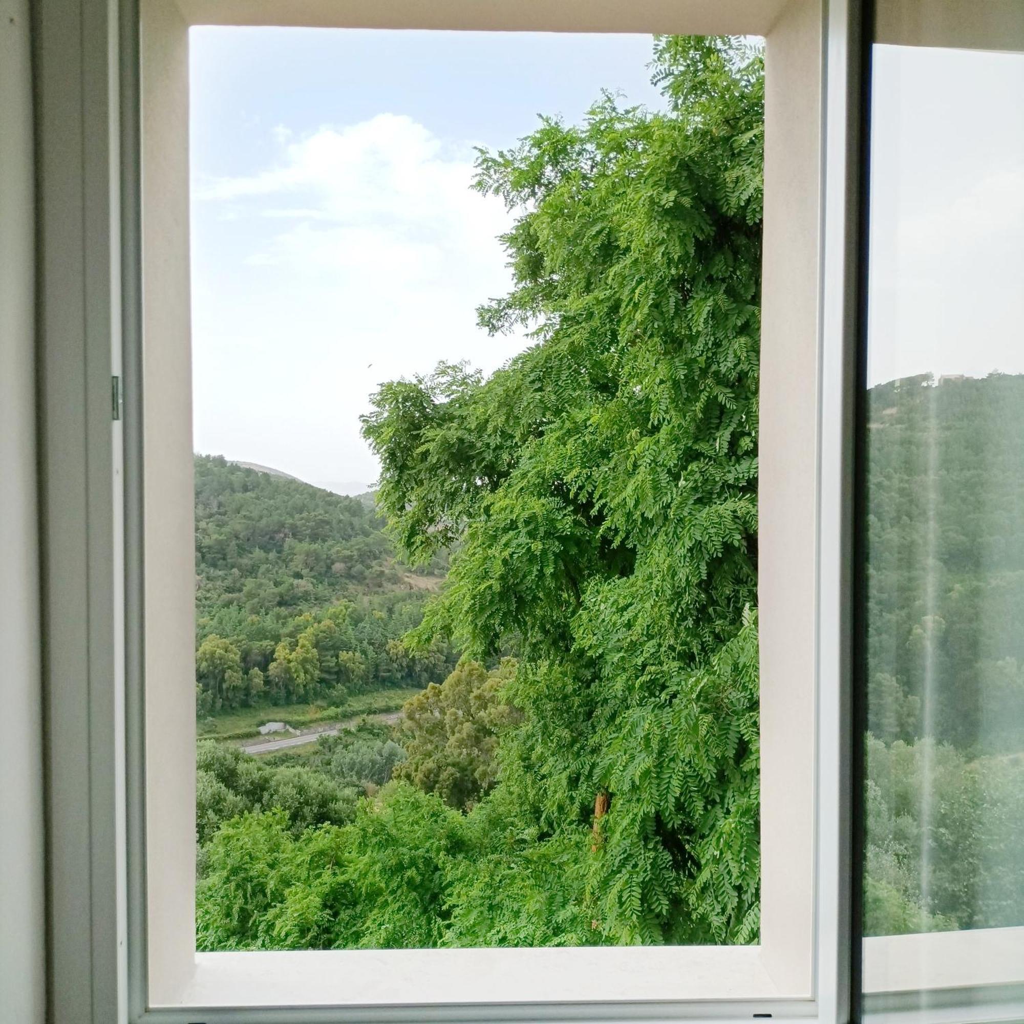 Osilo Tuffudesu Experience (Adults Only) Bed & Breakfast 部屋 写真